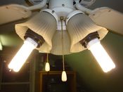 Filename=Satco_CFLs_Lit.jpg
Filesize=102KiB
Dimensions=1024x768
Date added=Mar 23, 2011 Satco_CFLs_Lit.jpg