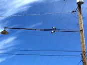 Filename=genoa_foothill_rd_at_post_office_02.jpg
Filesize=35KiB
Dimensions=600x450
Date added=Mar 24, 2016 genoa_foothill_rd_at_post_office_02.jpg
