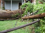 Filename=hurricane_Irene_021.jpg
Filesize=1613KiB
Dimensions=3000x2250
Date added=Sep 02, 2011 hurricane_Irene_021.jpg