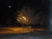 Filename=snowonjan26.JPG
Filesize=290KiB
Dimensions=2000x1500
Date added=Jan 27, 2011 snowonjan26.JPG