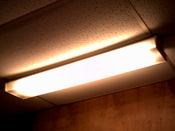 Filename=westernhillspics001_003.JPG
Filesize=297KiB
Dimensions=2048x1536
Date added=Nov 29, 2011 westernhillspics001_003.JPG