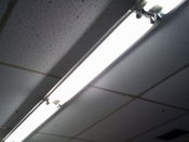 Filename=westernhillspics001_005.JPG
Filesize=275KiB
Dimensions=2048x1536
Date added=Nov 29, 2011 westernhillspics001_005.JPG