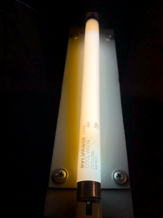 DIY F6T5 Strip Light Lit Up
Shown with Sylvania cool white lamp.
Keywords: F6T5, T5, 6w, 6, watt, lit, on, turned, running, halophosphate, cool, white, light, lantern, fixture, luminaire, strip lit_lighting
