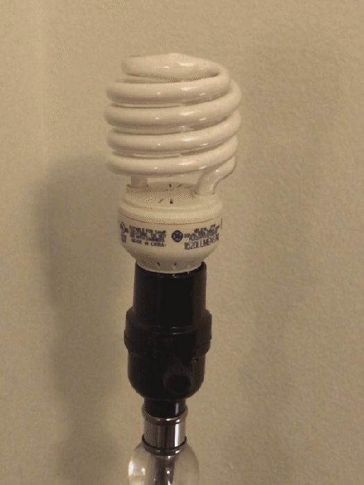 GE 23w 5000K Resonant-Start Helical CFL Startup
Here is a GIF my GE 5000K 23w helical CFL starting up. It is resonant-start and has a very nice startup.

Note: You have to click on the image for the GIf to play.
Keywords: cfl compact fluorescent ge 100w equivalent 23w watt 23 5000 k 5000k daylight helical spiral coil t2 resonant rapid start bulb lamp globe startup lamps